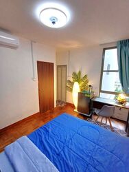 Parc Vista (D22), Condominium #576697861